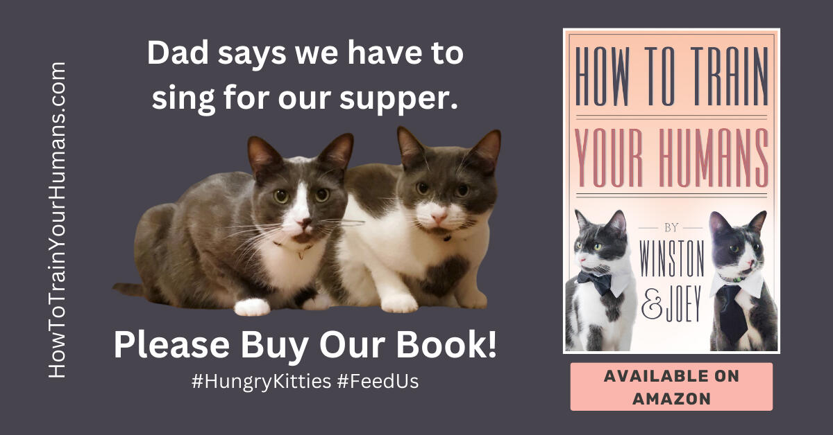 How To Train Your Humans Dad says we have to sing for our supper. Please Buy Our Book! #HungryKitties #FeedUs #HowToTrainYourHumans